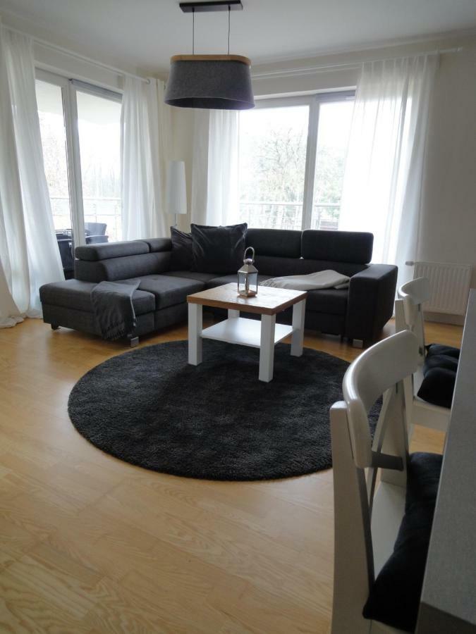 Apartament Gold ミエンジズドロイェ エクステリア 写真
